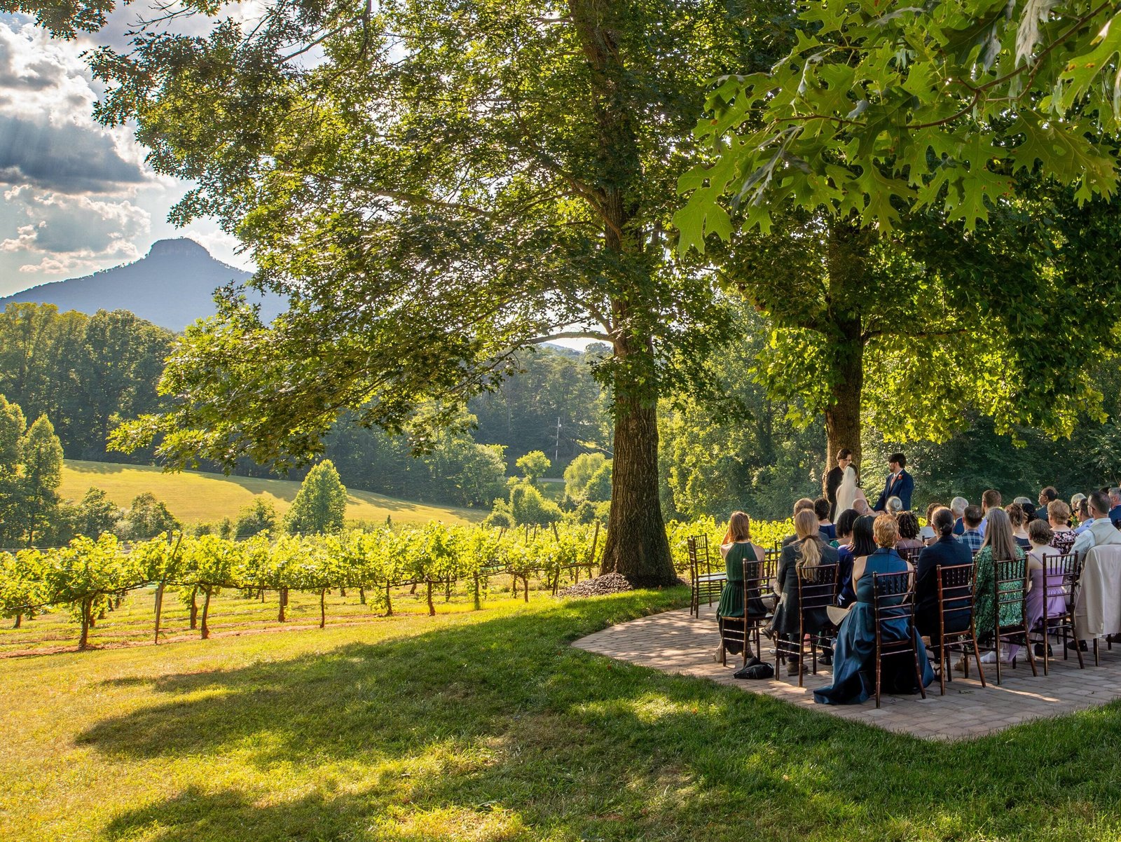 Outdoor reception under large tree with guests seated at long tables in vineyard with mountain backdrop at Pilot Mountain Vineyards