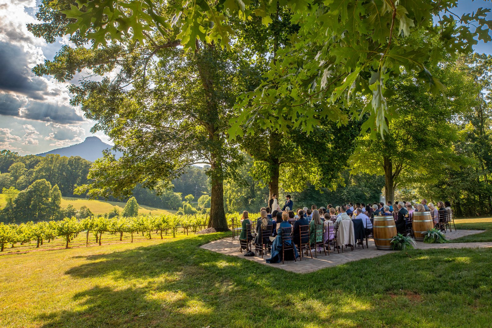 Outdoor reception under large tree with guests seated at long tables in vineyard with mountain backdrop at Pilot Mountain Vineyards
